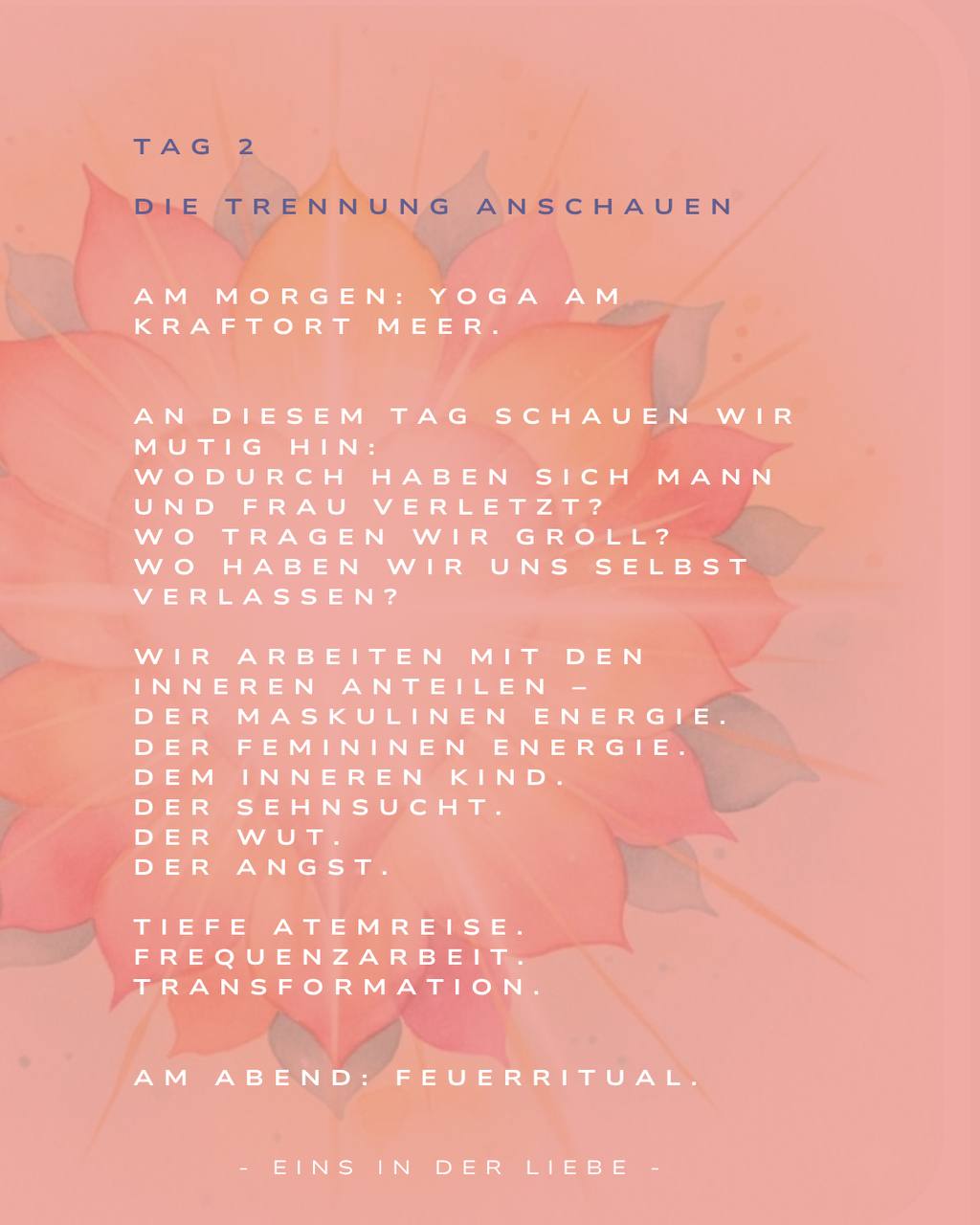Tag 2 – Die Trennung anschauen